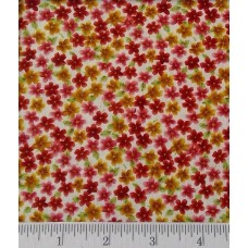 Garden Days 10072 01