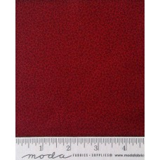 Miniature Gatherings 1157 17 Miniature Gatherings 1157 17