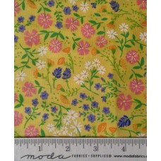 Sunday Picnic 20672 12