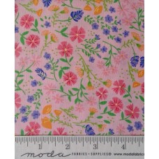 Sunday Picnic 20672 13