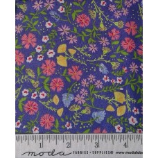 Sunday Picnic 20672 17