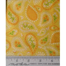 Sunday Picnic 20673 12