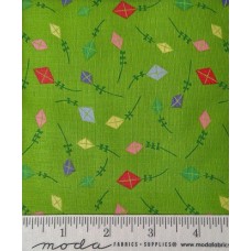 Sunday Picnic 20675 19