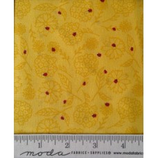 Sunday Picnic 20676 12