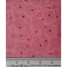 Sunday Picnic 20676 14