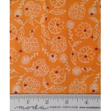 Sunday Picnic 20676 22