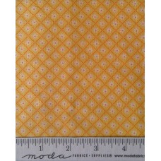 Sunday Picnic 20678 12