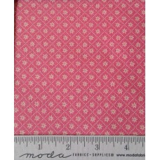 Sunday Picnic 20678 15