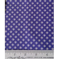 Sunday Picnic 20678 17