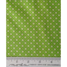 Sunday Picnic 20678 19