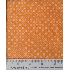 Sunday Picnic 20678 22