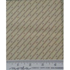 Wild Orchids 2777 11