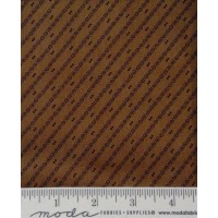 Wild Orchids 2777 12 Wild Orchids 2777 12