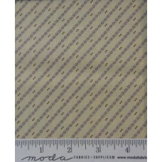 Wild Orchids 2777 22