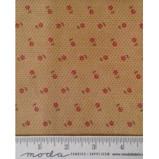 At Home 2795 12 At Home 2795 12