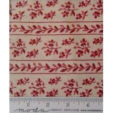 Jardin de Versailles 13813 13