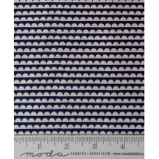 Bonnie & Camille Basics 5037 37