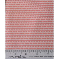 Bonnie & Camille Basics 5037 39