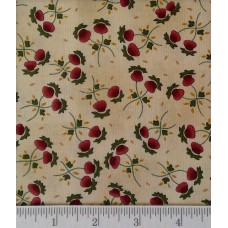 Winter Blessings  6370 44