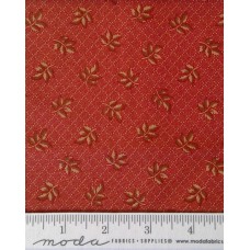 Hickory Road 8061 28