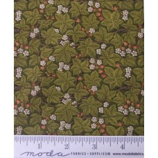 Morris Meadow 8375 20